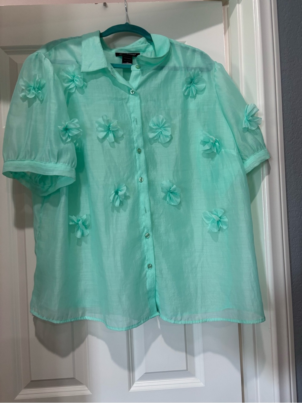Ashley Stewart Mint Green Floral Appliqué Button-Front Blouse